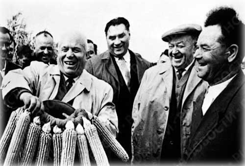 Sebab kegagalan kempen jagung Khrushchev