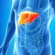 Aknu hepatoze: ārstēšana un simptomi Kāda ir atšķirība starp hepatozi un taukaino hepatozi
