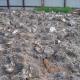Potrošeni blokovi gljiva kamenica za vrt Ubijte gljive kamenica iz starih vrećica