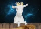 Značilnosti moškega Leva, rojenega v letu koze