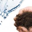 خاک حاصلخیز: ترکیب و خصوصیات خاک سطحی چیست