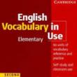 Osnove teorije angleškega jezika: Študijski vodnik Knjižni besednjak primerov angleškega jezika